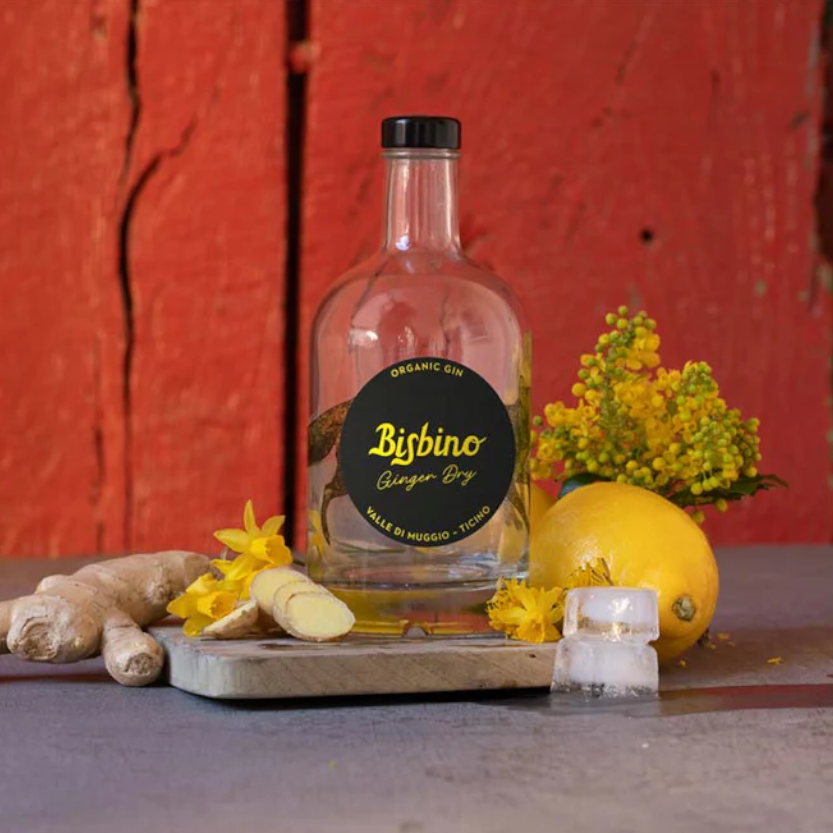 Gin Bisbino Ginger Dry - Ticino BIO